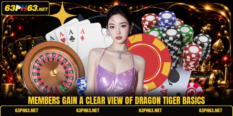 Members gain a clear view of dragon tiger basics