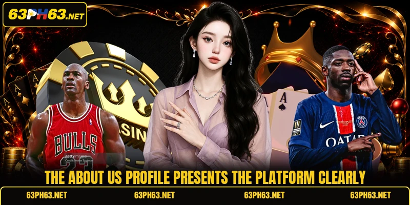 The about us profile presents the platform clearly